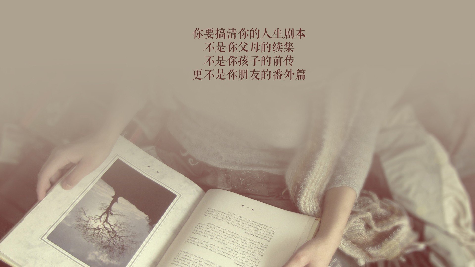 _夺冠悬念：决赛临近，谁能笑到最后？_，夺冠 比赛