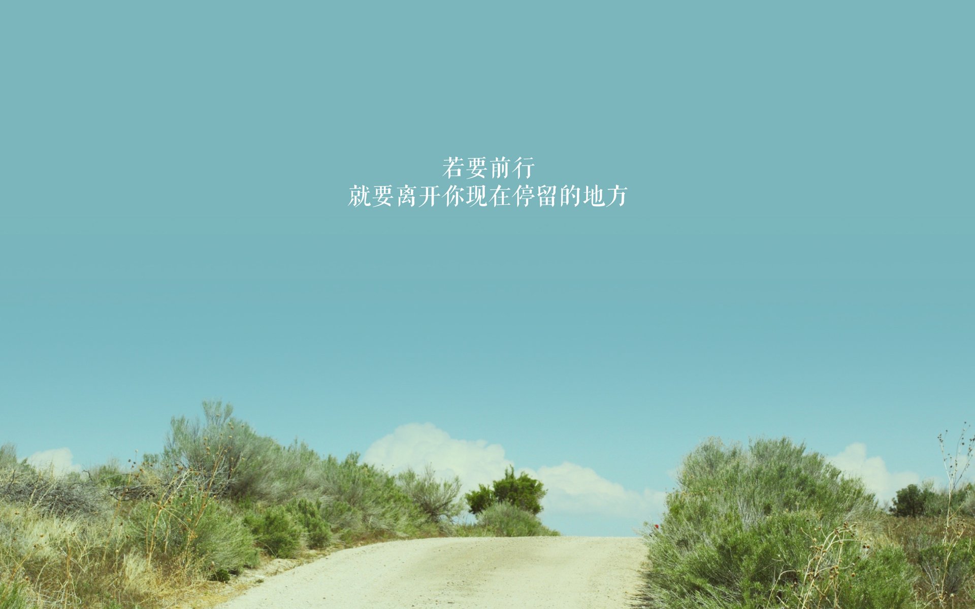 “德甲“新贵”展现强势，追逐欧战资格”，德甲新人