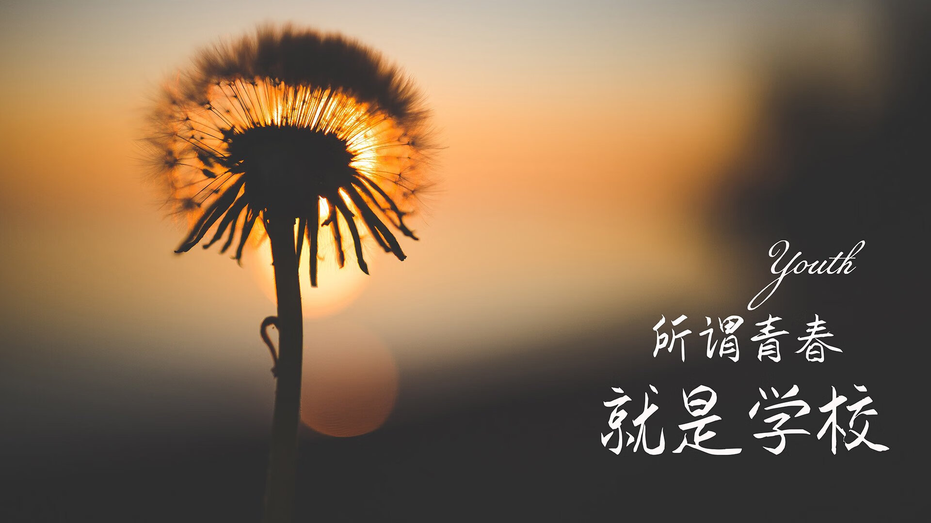 民族传统舞狮比赛，文化运动的欢乐盛典