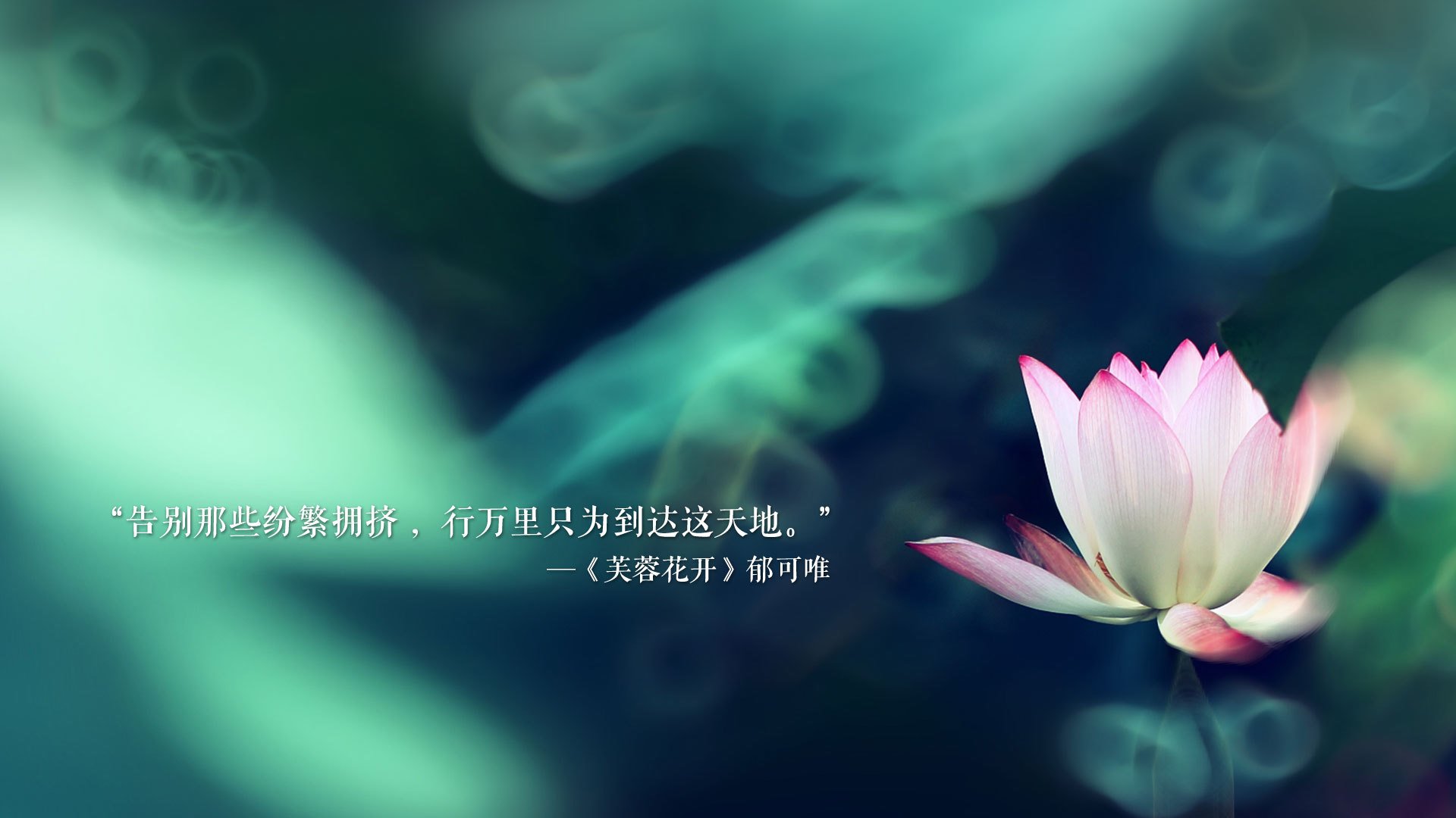 赛场“炫技”盛宴：传球、扣篮、华丽变向助你目不暇接，传球垫球扣球发球的技术要领