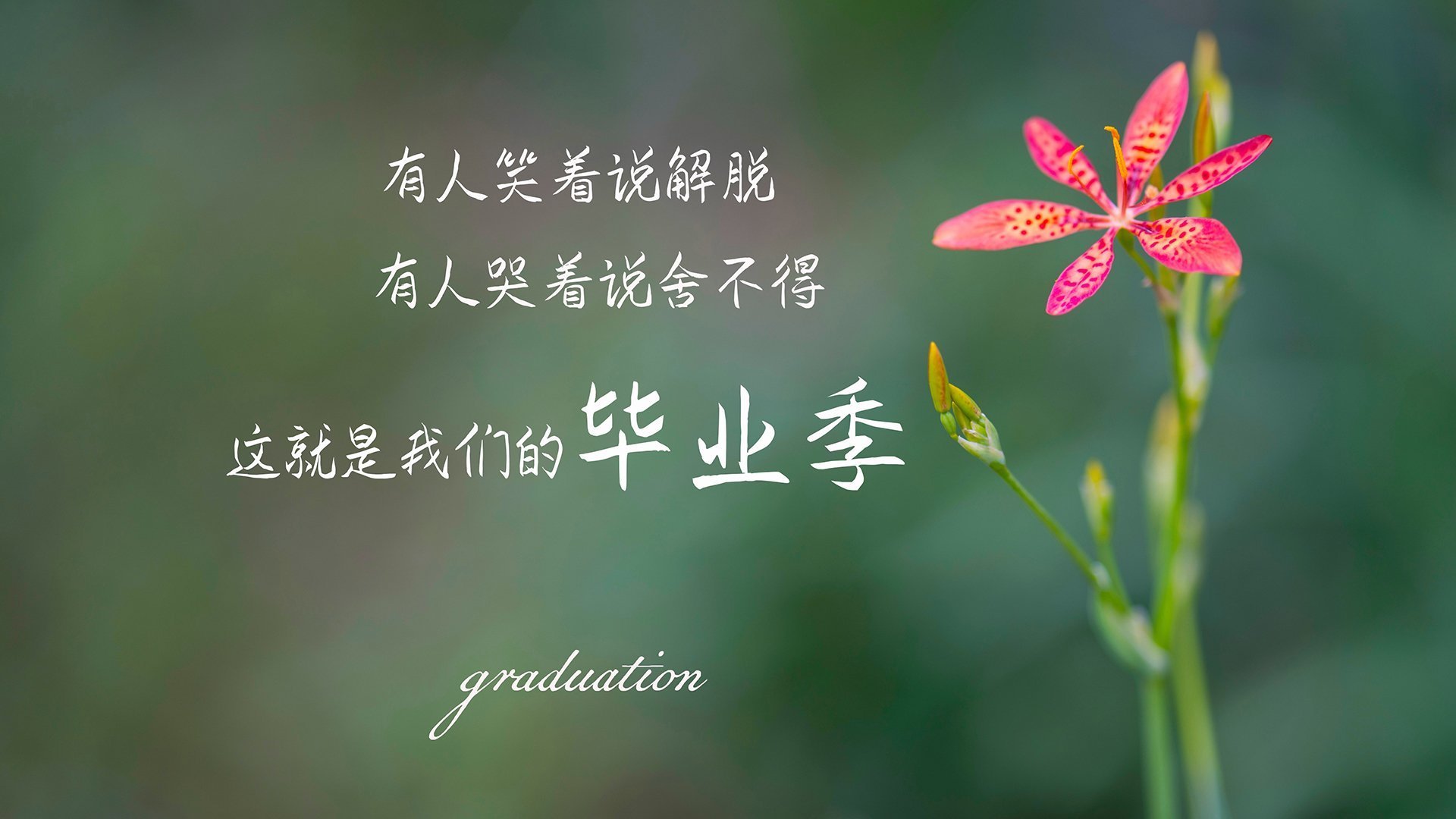 备战系统性强，比赛节奏应对合理，详述什么是比赛节奏