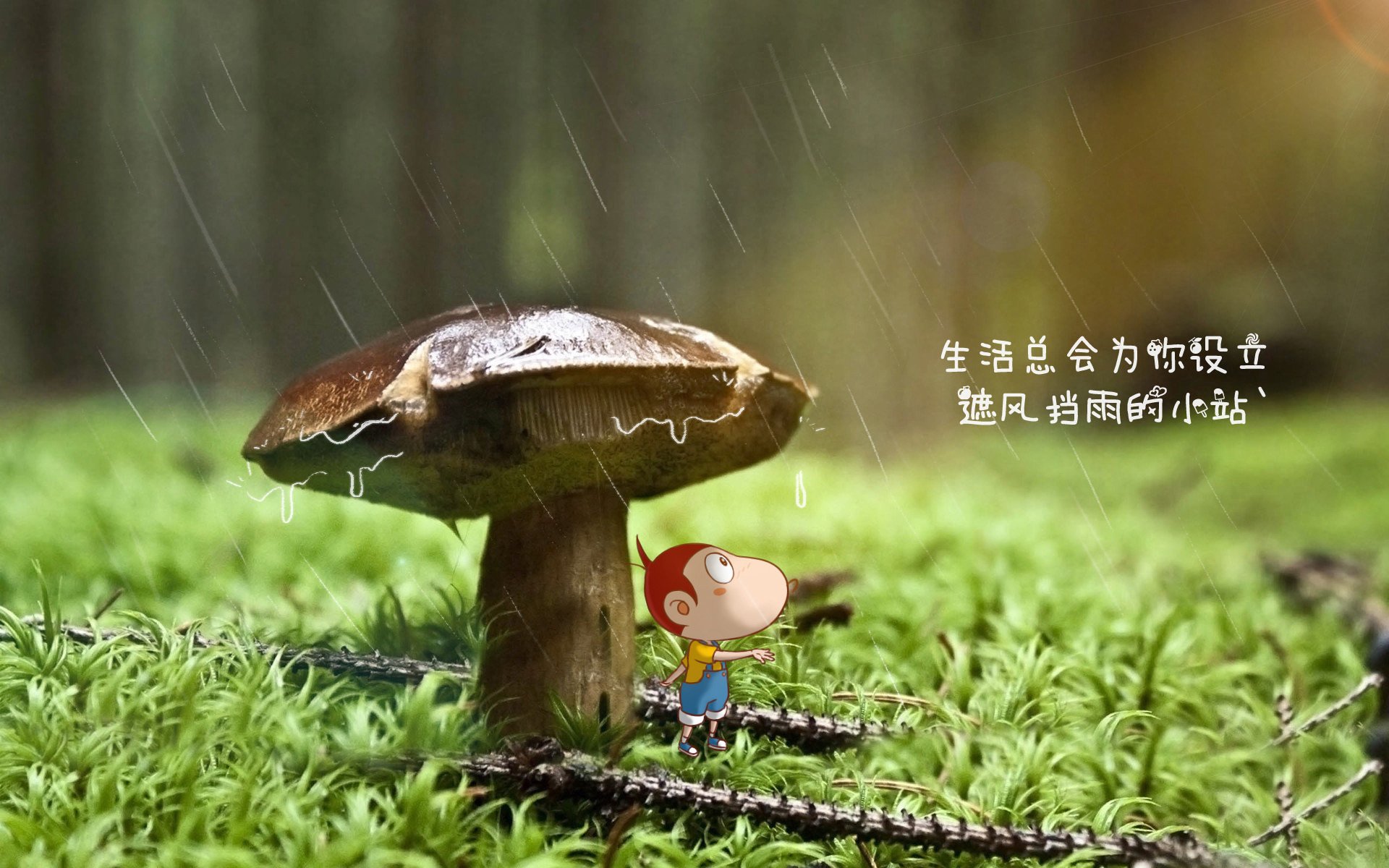 拜仁精准传控提高进攻成功率，拜仁控球