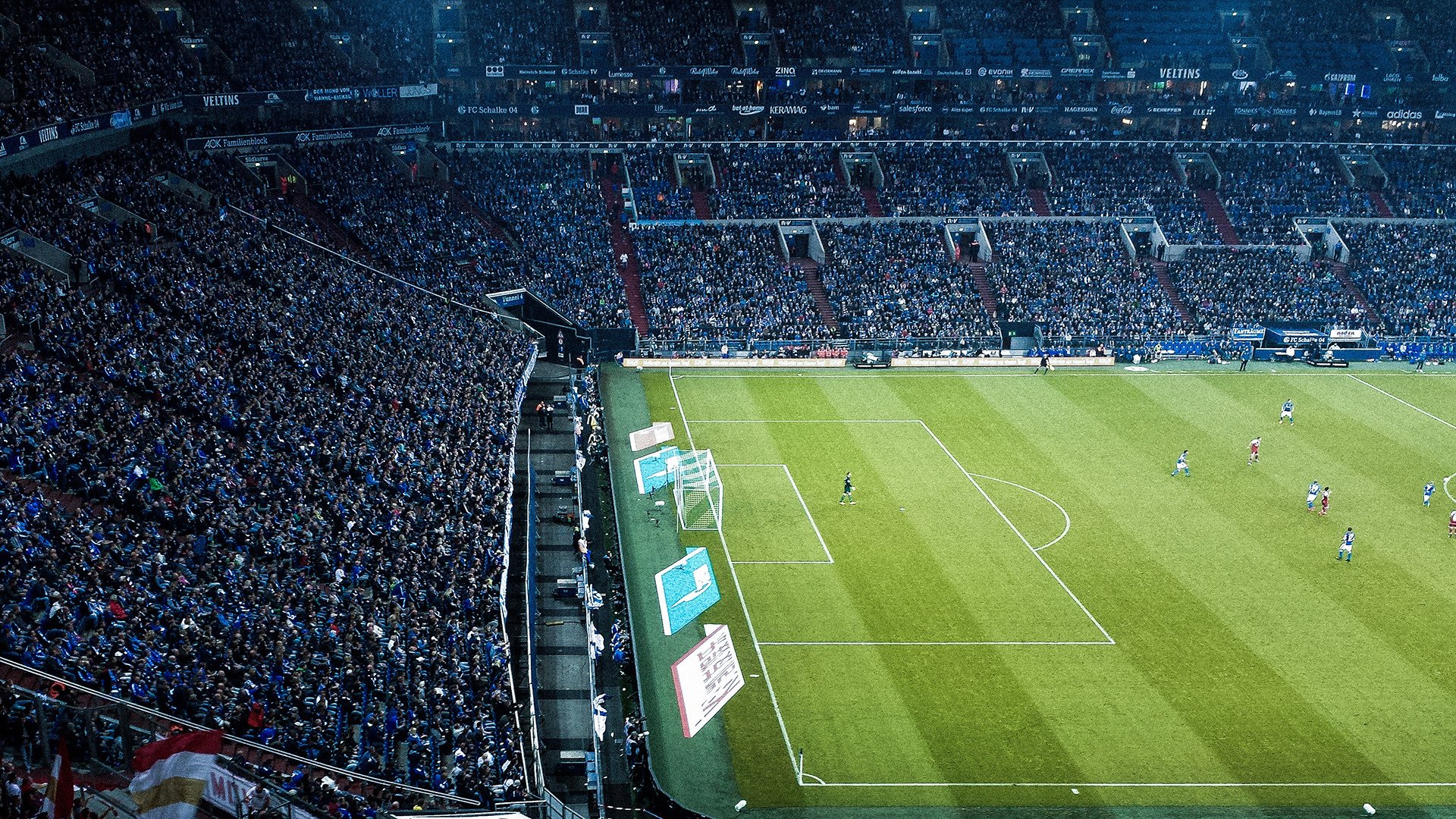 观摩学习：其他运动项目的借鉴经验，运动项目的类型